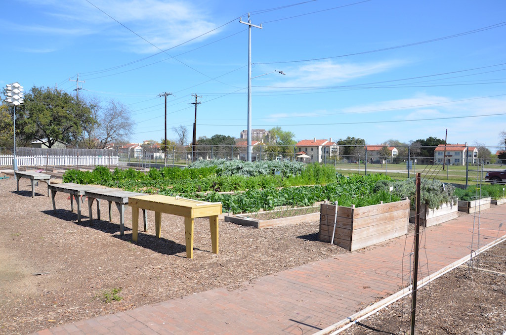 Children's vegetable gardens.