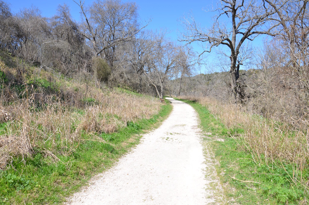 The path