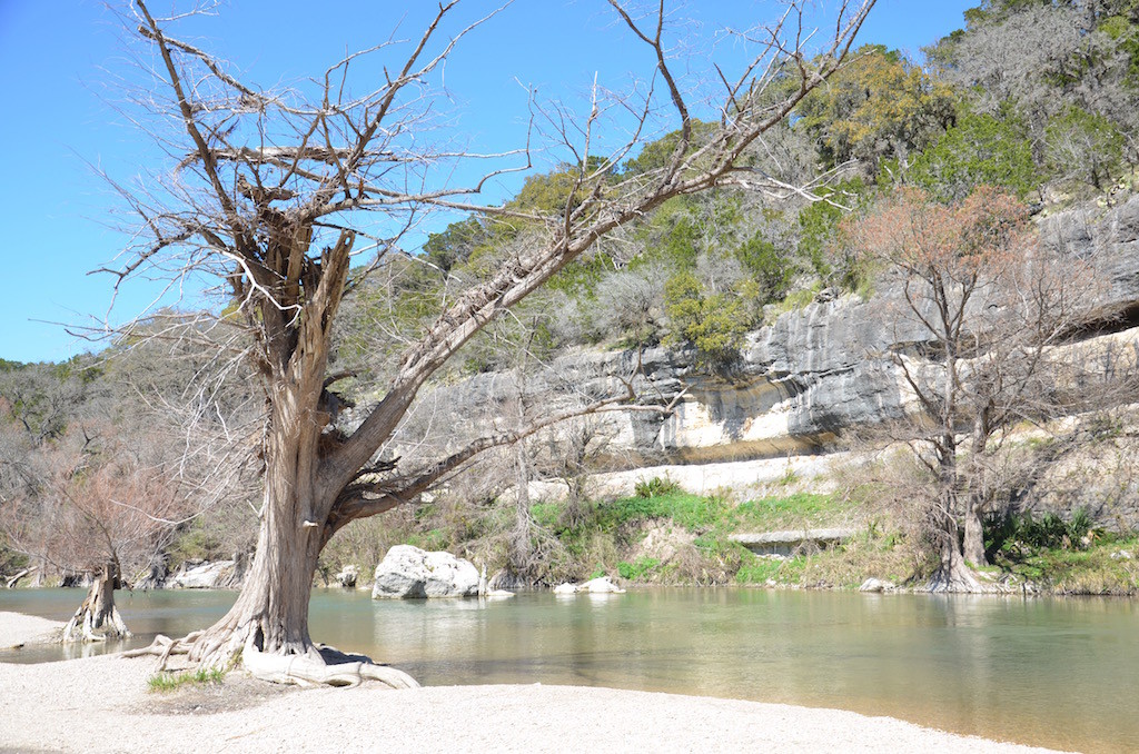 Notice the flotsam left in the trees after the flood a few months ago!