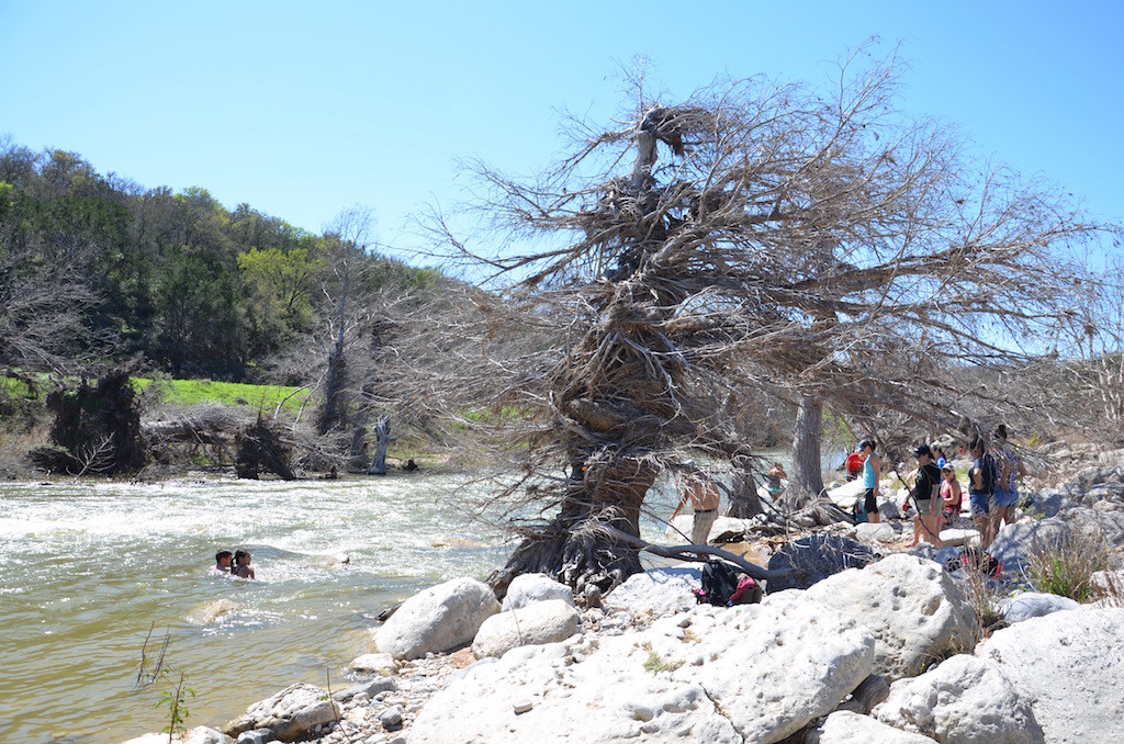 That tree was completely submerged!