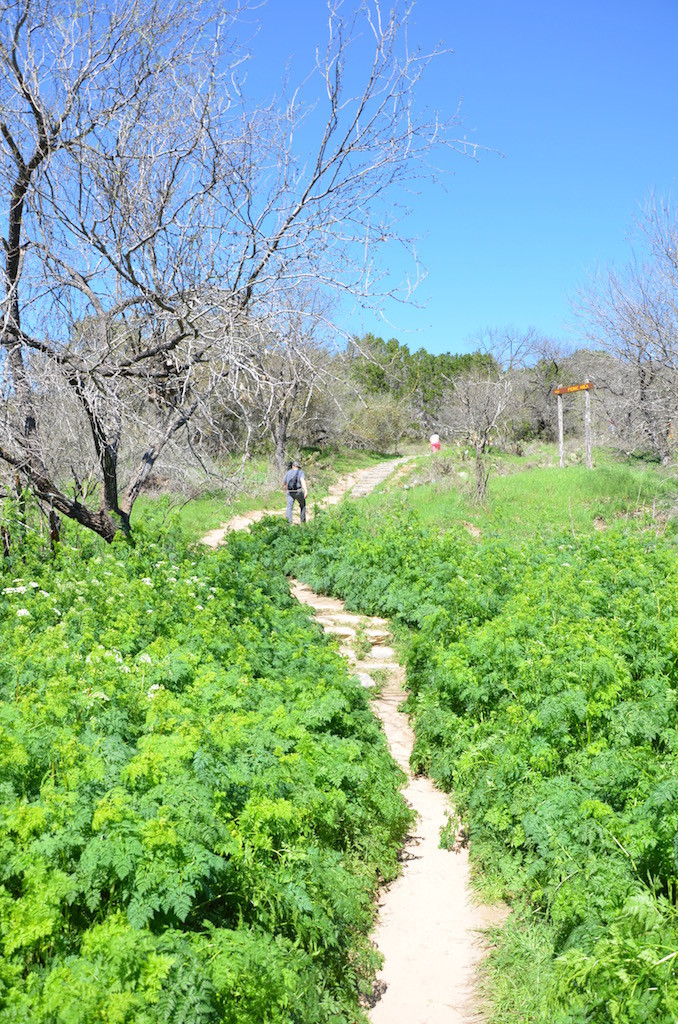 Lush path up to the parking lot.