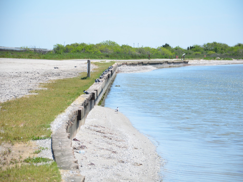 View down the beach. (No pics of the storm surge coming over the wall; before we left.