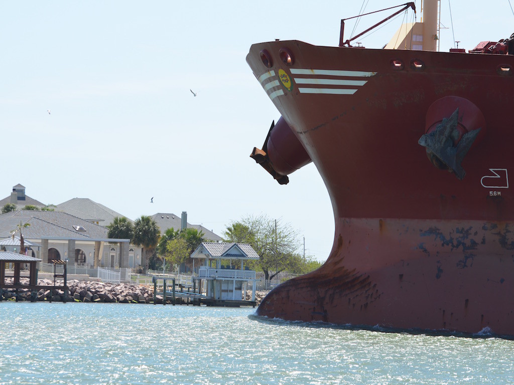 Massive cargo ship; aka dolphin surfing partner!