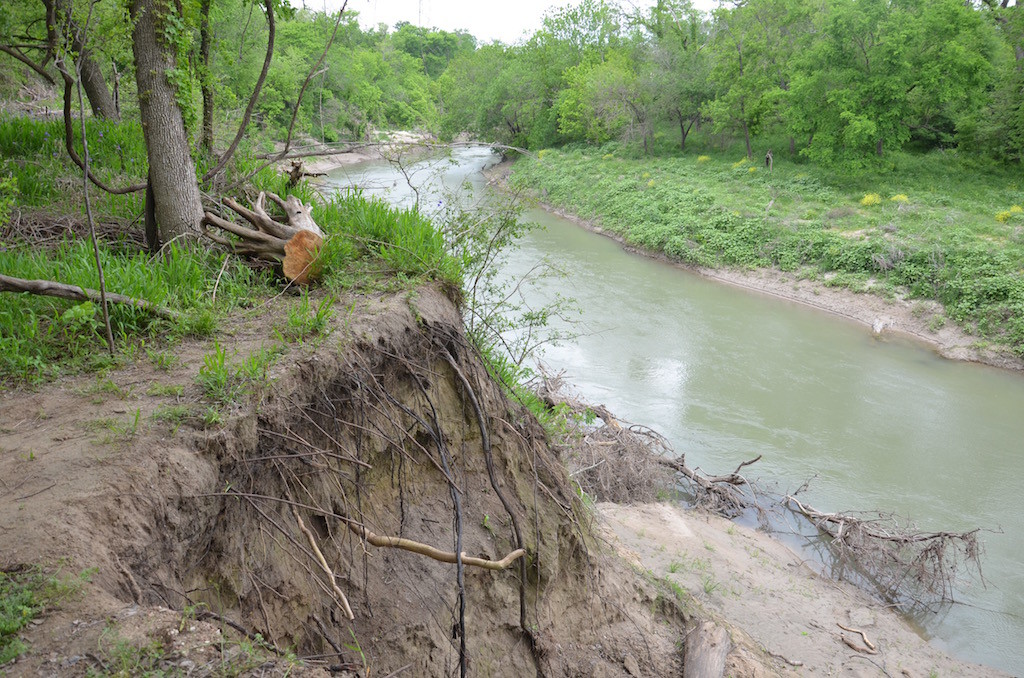 This winters damage along the river. I discovered after I too this I was standing over a deep undercut!!