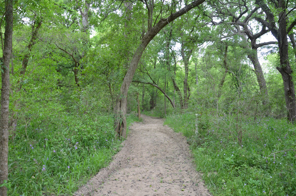 One of the many beautiful trail walks.