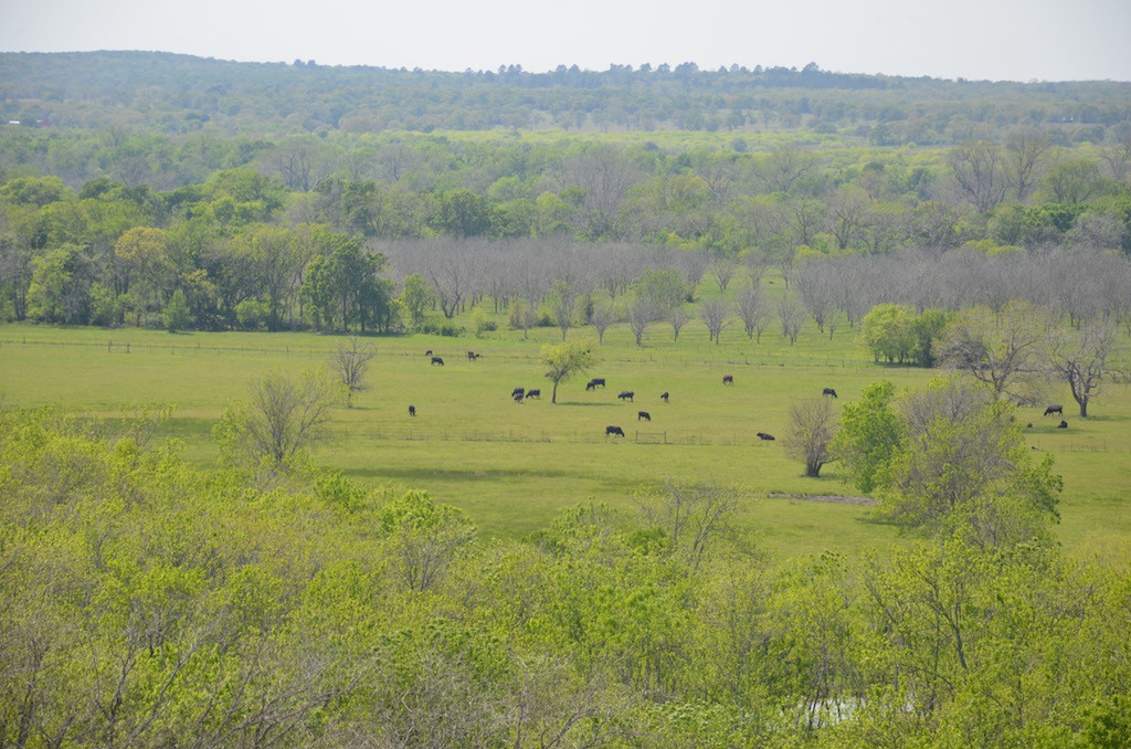 View just inside the park of the valley below.
