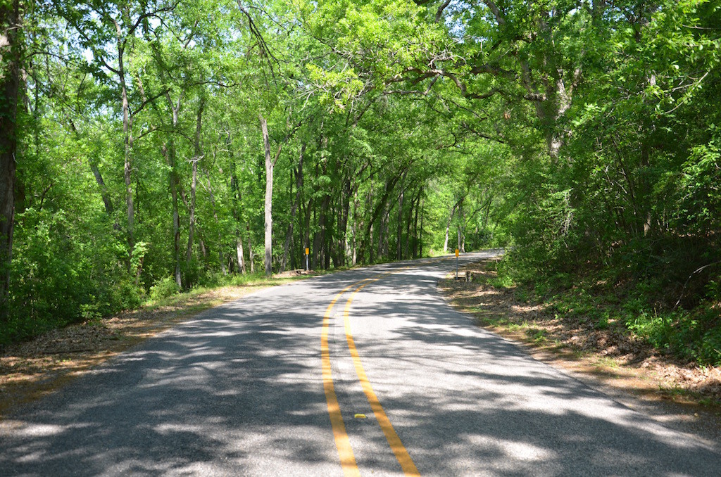 The scenic road into the park