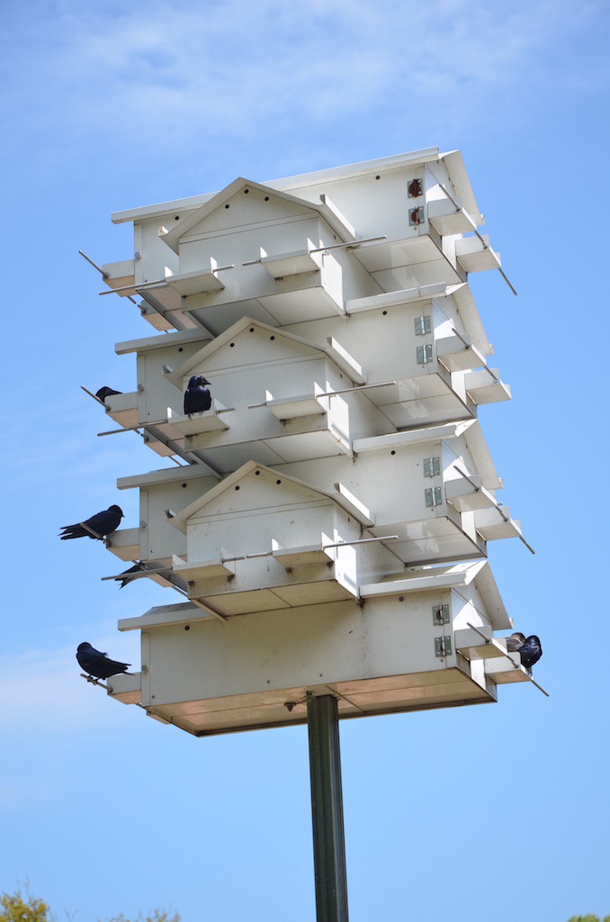 Bird mansion!
