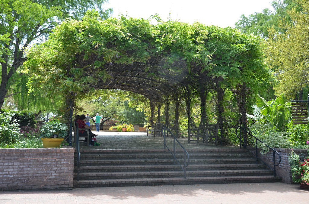I didn't bother taking a picture of this Wisteria arbor before; it was bare!