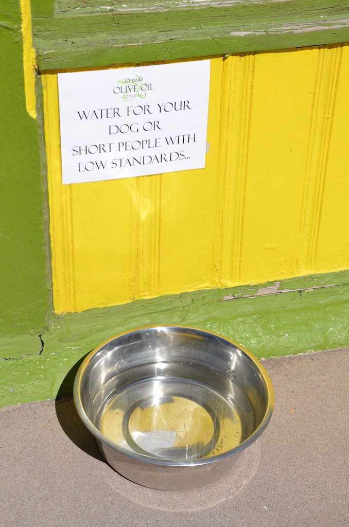 One of the local business owners was a dog friend with a sense of humor!