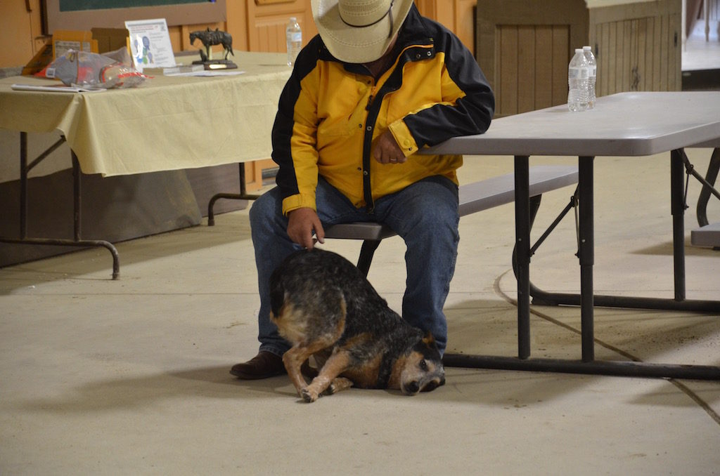 This dog LOVES his butt scratches!