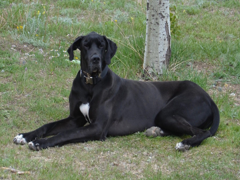 Titan