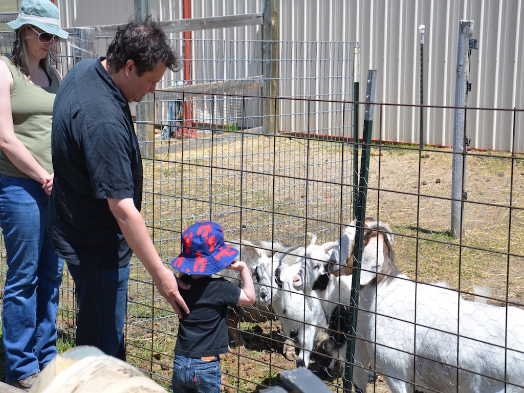 Reeve loved the animals!!!