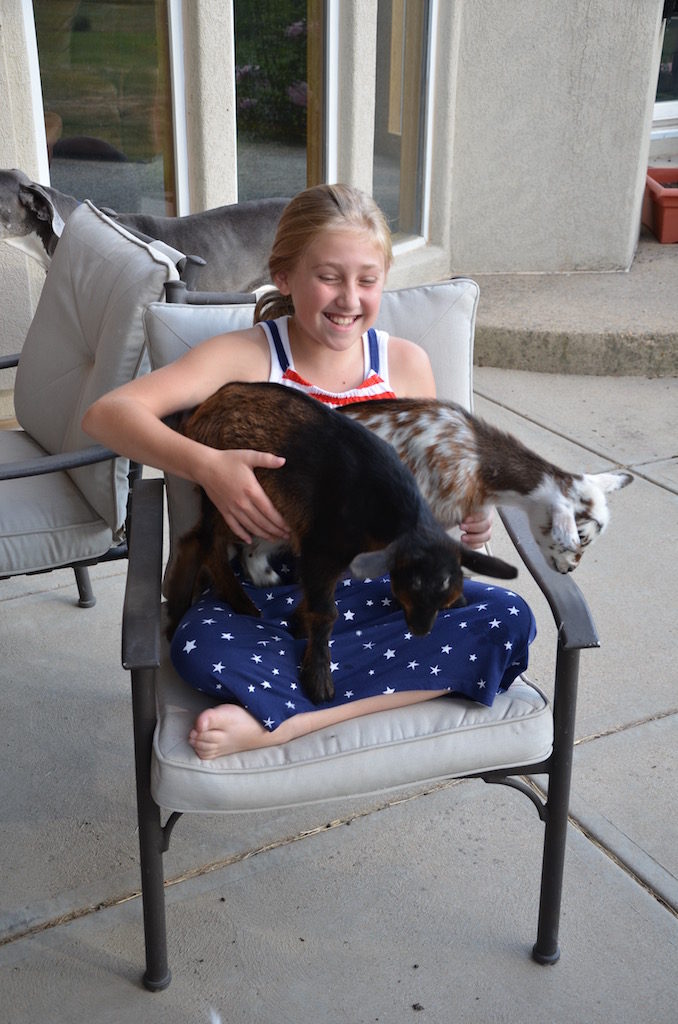 After the museum we took her to Walt and Carries for dinner and to meet their "zoo". Snake loved the baby goats!