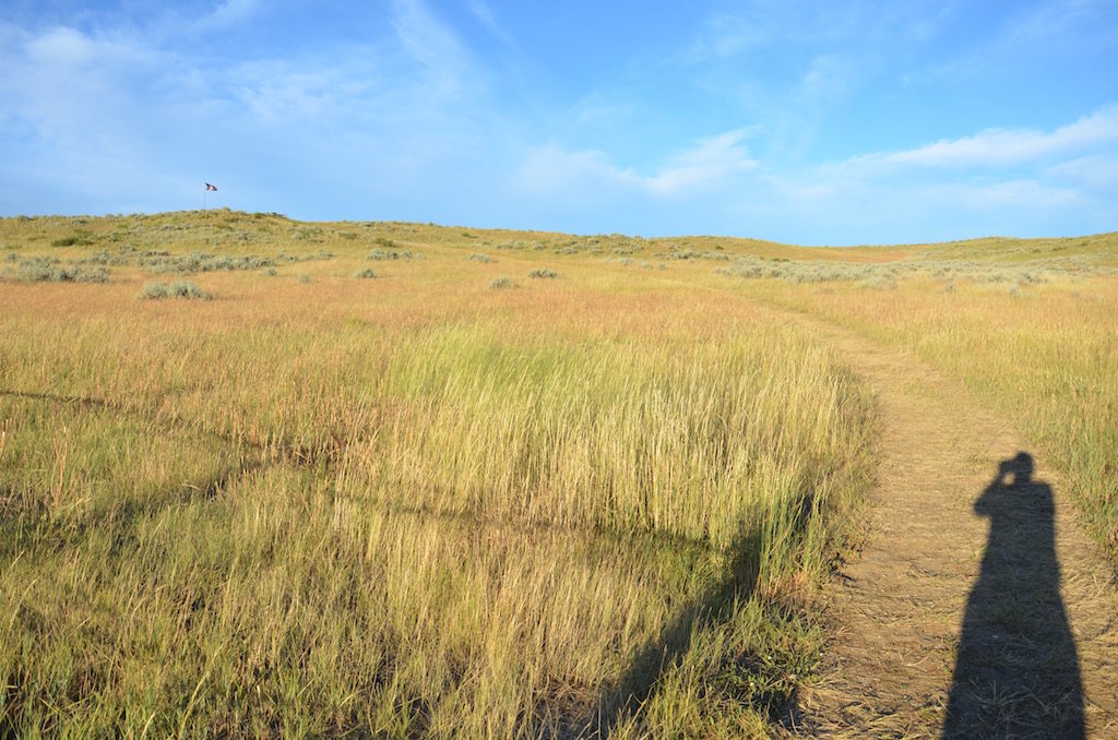 Lots of open space too!