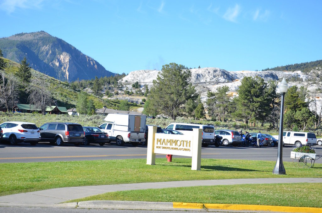 Mammoth Village has resident Elk too.