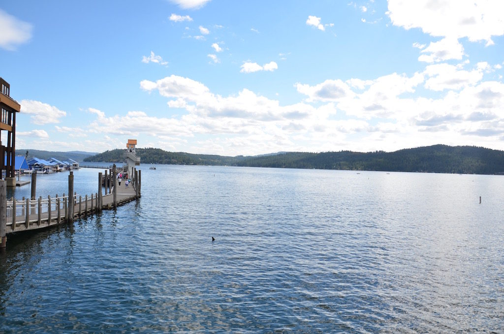 We took a boat tour of the lake.