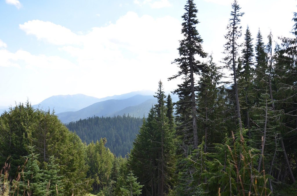 Beautiful drive up there.