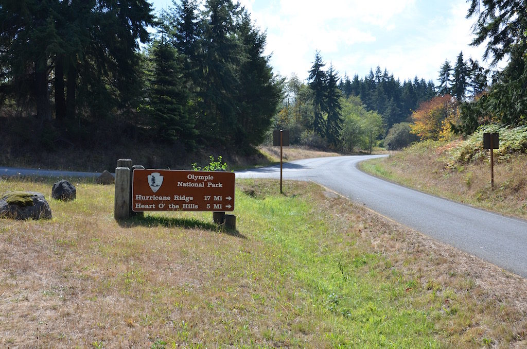 On another putting we went to hurricane Ridge.
