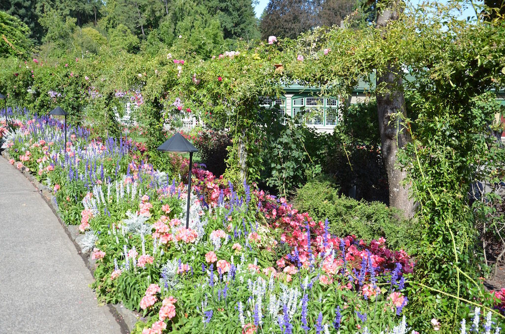 BFZ_5987