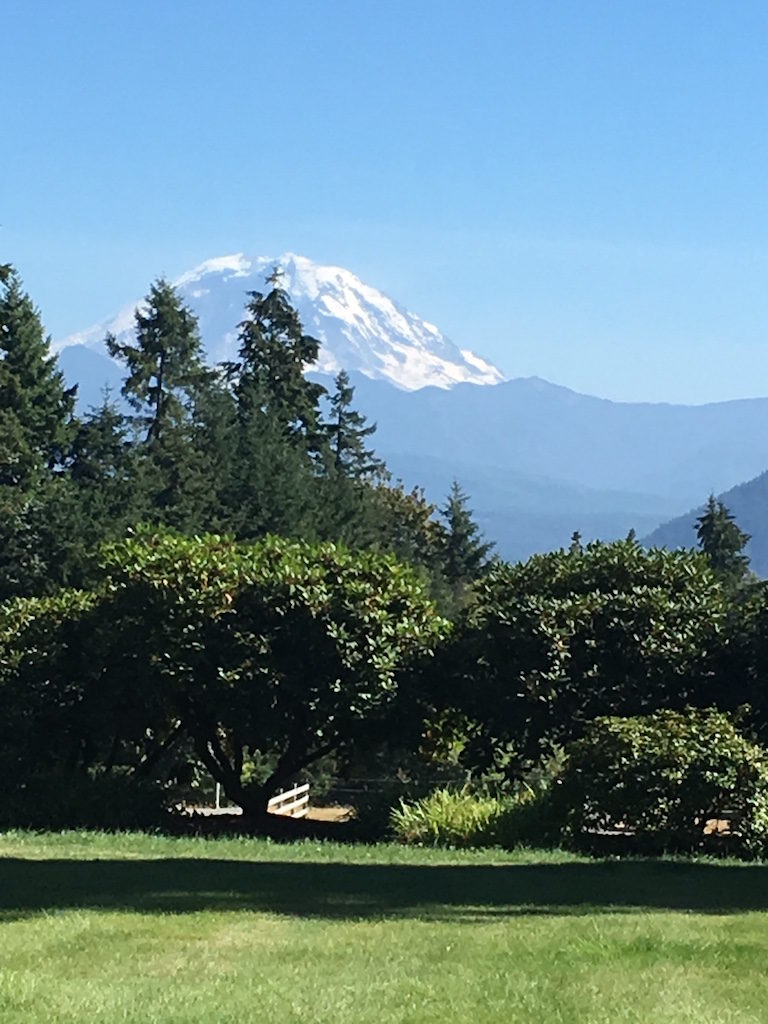 It's the tallest mountain around; even visible from our friends Jim & Kathy's back yard in Enumclaw, about 50 miles away.