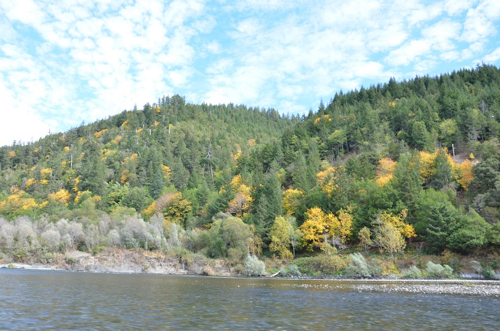 Colors beginning to change up here!