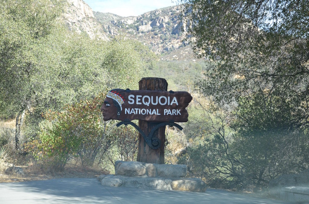 Our last stop in northern California was Sequoia National Park. Interesting to note the Sequoias here are not as tall as the coastal Redwoods but are larger in volumn.